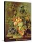 Still Life of Fruit-Johannes Hendrick Fredriks-Stretched Canvas