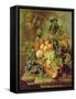 Still Life of Fruit-Johannes Hendrick Fredriks-Framed Stretched Canvas