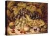 Still Life of Fruit-Oliver Clare-Stretched Canvas