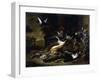 Still Life of Game including a Hare, Black Grouse and Partridge, a Spaniel Looking on with a Pigeon-Jan Weenix-Framed Giclee Print