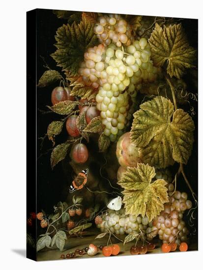 Still Life of Grapes and Vines, 1666-Ottmar the Elder Elliger-Stretched Canvas