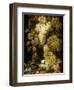 Still Life of Grapes and Vines, 1666-Ottmar the Elder Elliger-Framed Giclee Print