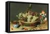 Still Life of Grapes in a Basket-Isaac Soreau-Framed Stretched Canvas