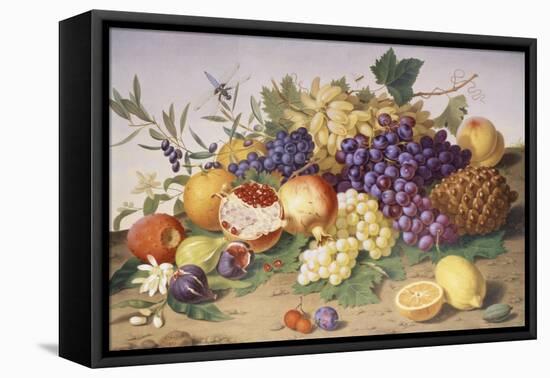 Still Life of Grapes, Pineapple, Figs and Pomegranates-Adolf Senff-Framed Stretched Canvas