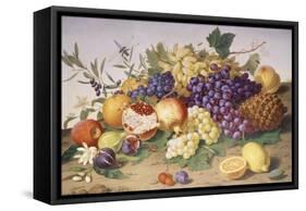 Still Life of Grapes, Pineapple, Figs and Pomegranates-Adolf Senff-Framed Stretched Canvas