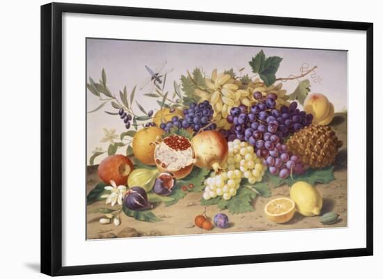 Still Life of Grapes, Pineapple, Figs and Pomegranates-Adolf Senff-Framed Giclee Print