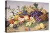 Still Life of Grapes, Pineapple, Figs and Pomegranates-Adolf Senff-Stretched Canvas