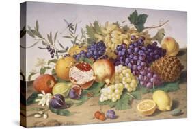 Still Life of Grapes, Pineapple, Figs and Pomegranates-Adolf Senff-Stretched Canvas