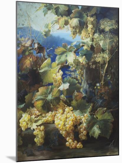 Still Life of Grapes-Alexis Kreyder-Mounted Giclee Print