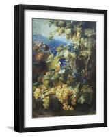 Still Life of Grapes-Alexis Kreyder-Framed Giclee Print