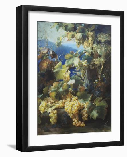 Still Life of Grapes-Alexis Kreyder-Framed Giclee Print