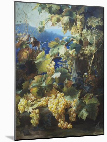 Still Life of Grapes-Alexis Kreyder-Mounted Giclee Print