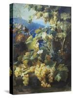 Still Life of Grapes-Alexis Kreyder-Stretched Canvas