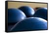 Still Life of Gym Exercise Ball-Matt Freedman-Framed Stretched Canvas