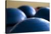 Still Life of Gym Exercise Ball-Matt Freedman-Stretched Canvas