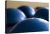 Still Life of Gym Exercise Ball-Matt Freedman-Stretched Canvas