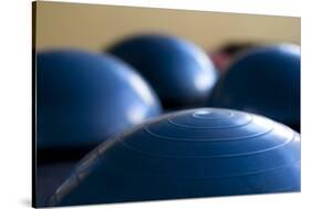 Still Life of Gym Exercise Ball-Matt Freedman-Stretched Canvas