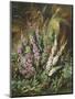 Still Life of Heather and Butterflies-Albert Lucas-Mounted Giclee Print