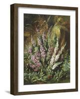 Still Life of Heather and Butterflies-Albert Lucas-Framed Giclee Print