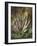 Still Life of Heather and Butterflies-Albert Lucas-Framed Giclee Print