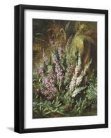 Still Life of Heather and Butterflies-Albert Lucas-Framed Giclee Print