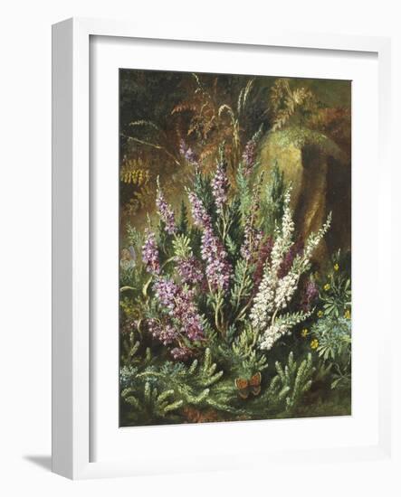 Still Life of Heather and Butterflies-Albert Lucas-Framed Giclee Print