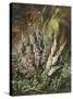 Still Life of Heather and Butterflies-Albert Lucas-Stretched Canvas