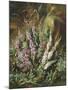 Still Life of Heather and Butterflies-Albert Lucas-Mounted Giclee Print