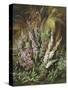 Still Life of Heather and Butterflies-Albert Lucas-Stretched Canvas