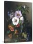 Still Life of Hibiscus and Nasturtium in a Glass Vase-Julie Guyot-Stretched Canvas