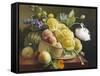 Still Life of Hollyhocks and Nasturtium-Antoine Berjon-Framed Stretched Canvas