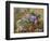 Still Life of Hydrangeas and Lilacs-Albert Williams-Framed Giclee Print