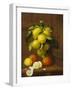 Still Life of Lemons and Oranges-A. Menasque-Framed Giclee Print