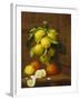 Still Life of Lemons and Oranges-A. Menasque-Framed Giclee Print