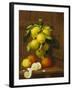 Still Life of Lemons and Oranges-A. Menasque-Framed Giclee Print