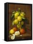 Still Life of Lemons and Oranges-A. Menasque-Framed Stretched Canvas