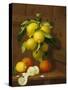 Still Life of Lemons and Oranges-A. Menasque-Stretched Canvas