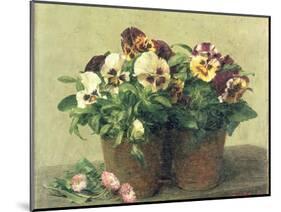 Still Life of Pansies and Daisies, 1889-Henri Fantin-Latour-Mounted Giclee Print
