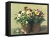 Still Life of Pansies and Daisies, 1889-Henri Fantin-Latour-Framed Stretched Canvas