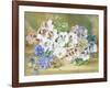 Still Life of Pansies and Pelargoniums-Thomas Collier-Framed Giclee Print