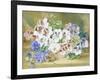 Still Life of Pansies and Pelargoniums-Thomas Collier-Framed Giclee Print