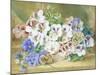 Still Life of Pansies and Pelargoniums-Thomas Collier-Mounted Giclee Print