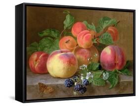 Still Life of Peaches-Henriette Ronner-Knip-Framed Stretched Canvas