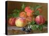 Still Life of Peaches-Henriette Ronner-Knip-Stretched Canvas