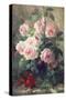 Still Life of Pink Roses-Frans Mortelmans-Stretched Canvas