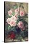 Still Life of Pink Roses-Frans Mortelmans-Stretched Canvas