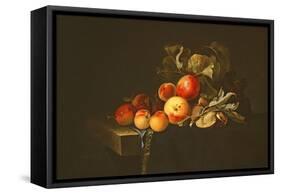 Still Life of Plums, Peaches, Almonds and Grapes on a Draped Ledge, 1650-Willem van Aelst-Framed Stretched Canvas