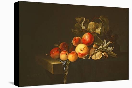 Still Life of Plums, Peaches, Almonds and Grapes on a Draped Ledge, 1650-Willem van Aelst-Stretched Canvas