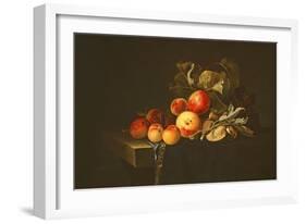 Still Life of Plums, Peaches, Almonds and Grapes on a Draped Ledge, 1650-Willem van Aelst-Framed Giclee Print