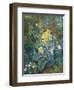 Still Life of Polyanthus and Butterfly-Mary Margetts-Framed Giclee Print